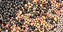 Seeds & Fertilizer