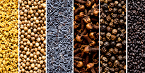 Spices granules